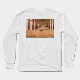 Shells scapes Long Sleeve T-Shirt